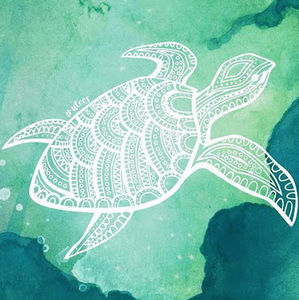 Meet your Posher, Aisha